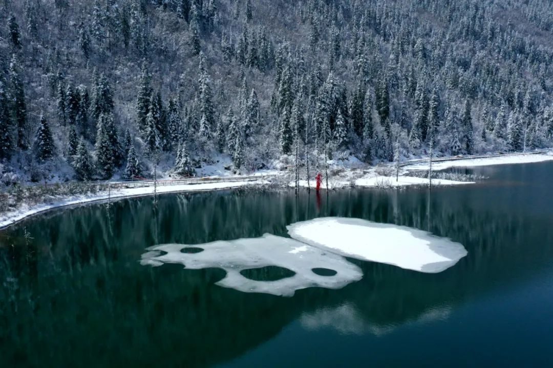 达古冰川|赏花又赏雪？达古冰川一站满足你！