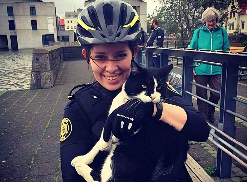 旅游消费|走进”冰岛“,带你看看真实的“冰岛“现状