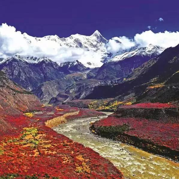 林芝|没去林芝，不算去过西藏