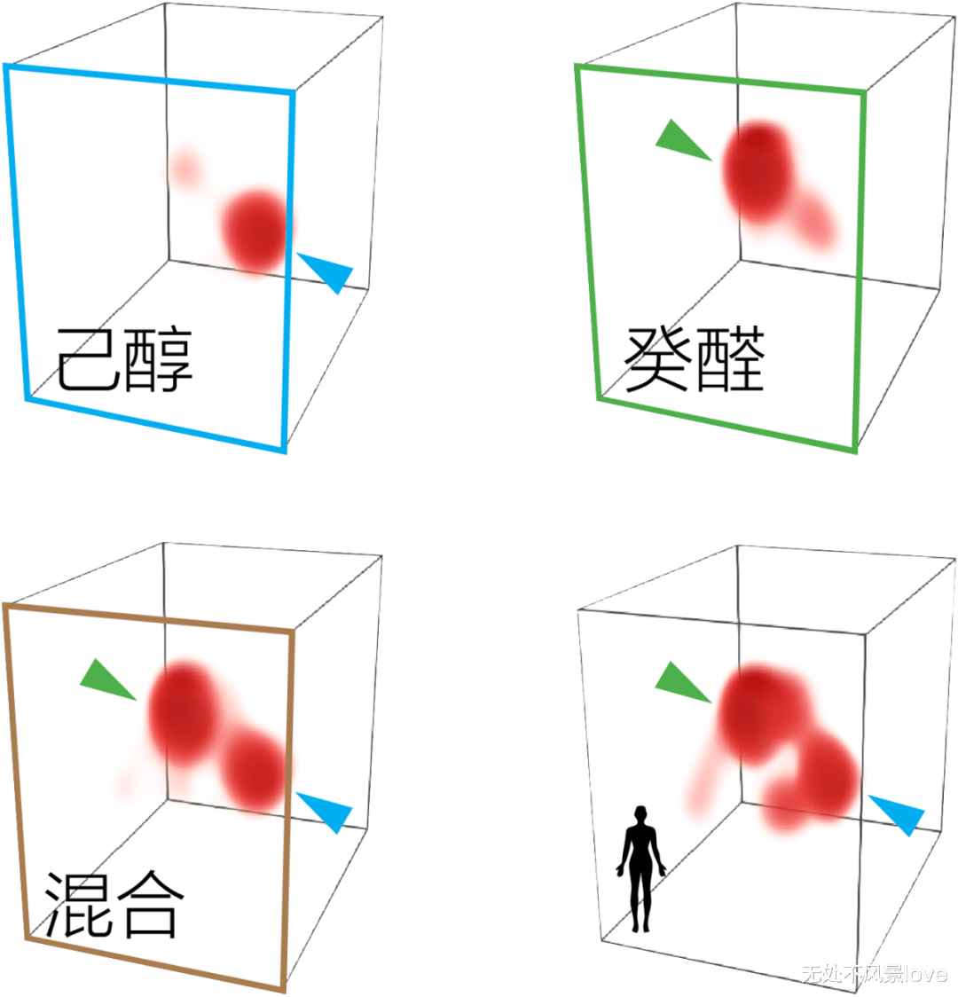 博士用自己的血一天喂3000只蚊子,终一作发Nature揭示“蚊子怎么只咬你”