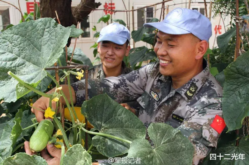 把水稻种到天宫空间站上,中国人的种菜基因有多强大?