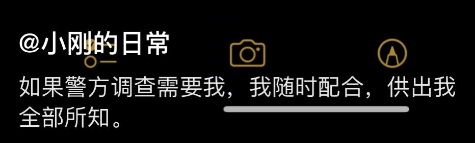 千万网红曝老板被刑拘!诈骗80多套房金额超2亿,官方回应来了