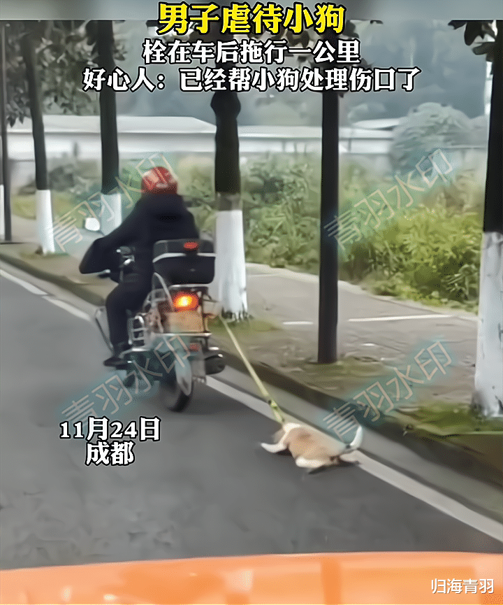 好狠的心!四川一男子虐待狗,将其拴在车后拖行一公里,路人怒了