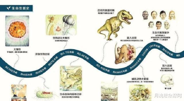破解衰老密码:基因新发现,有望将人类平均寿命从80提升至400岁