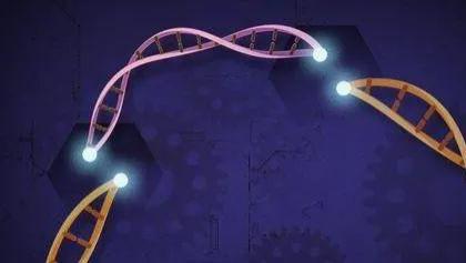 陈根：CRISPR-Cas9技术，可有效治疗罕见血液病