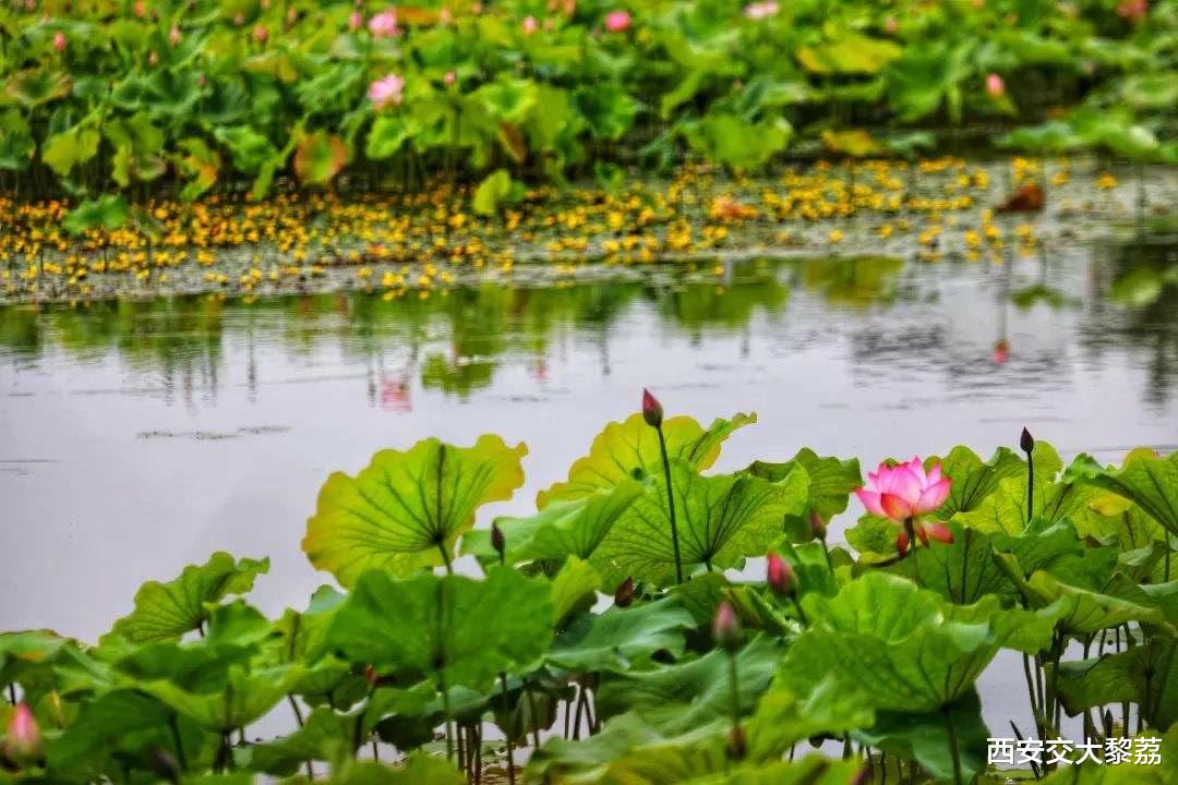 一次溺水的经历