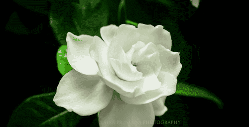 刘涛|那些年被逐渐淡忘的美人们