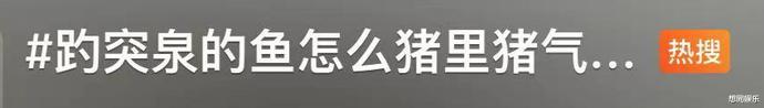护肤 景区的鱼“猪里猪气”冲上热搜！ 网友慌了：原来游泳真不减肥…