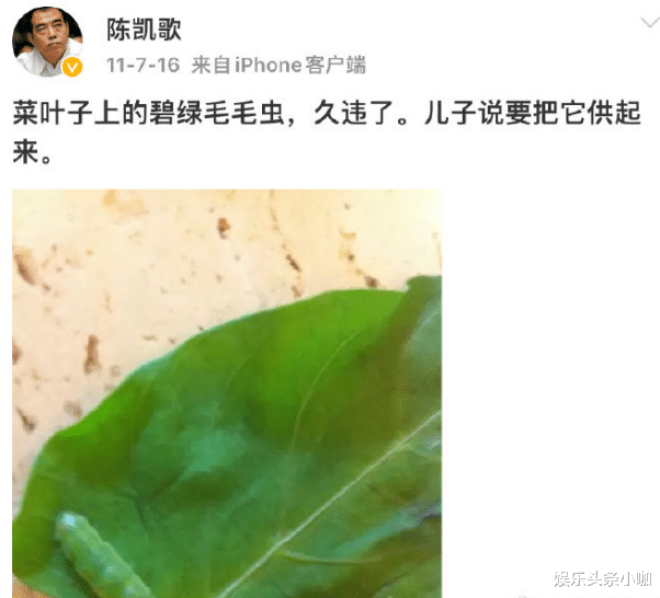 陈飞宇|陈飞宇真是想红想疯了？