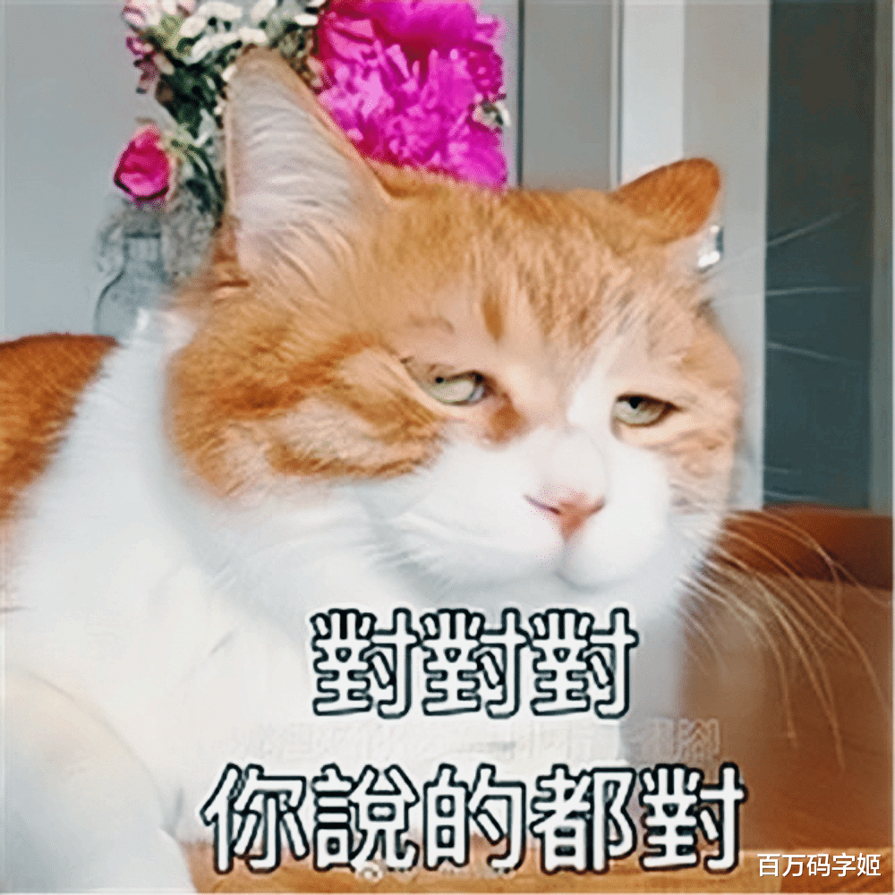 职业规划|95后打工人,2022职业规划:等暴富,等跑路,等公司解雇