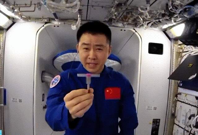 曾被苏联雪藏10年,陈冬做扳手翻转实验,贾尼别科夫效应是什么?