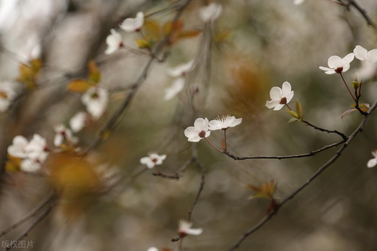 河源|生性冷僻,没有社交,独来独往的人
