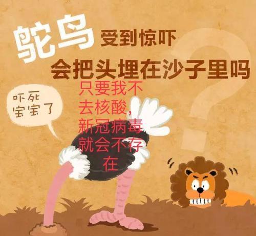 作为鸵鸟的个体:没有核酸检测,就没有危险存在