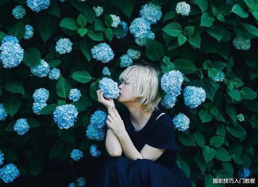 春天拍花必看!只要你有一部手机,就能拍出好看的花朵照片