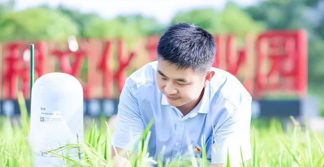 大学生|啥职业是丈母娘眼中的“香饽饽”？公务员不算啥，榜首才是抢手货