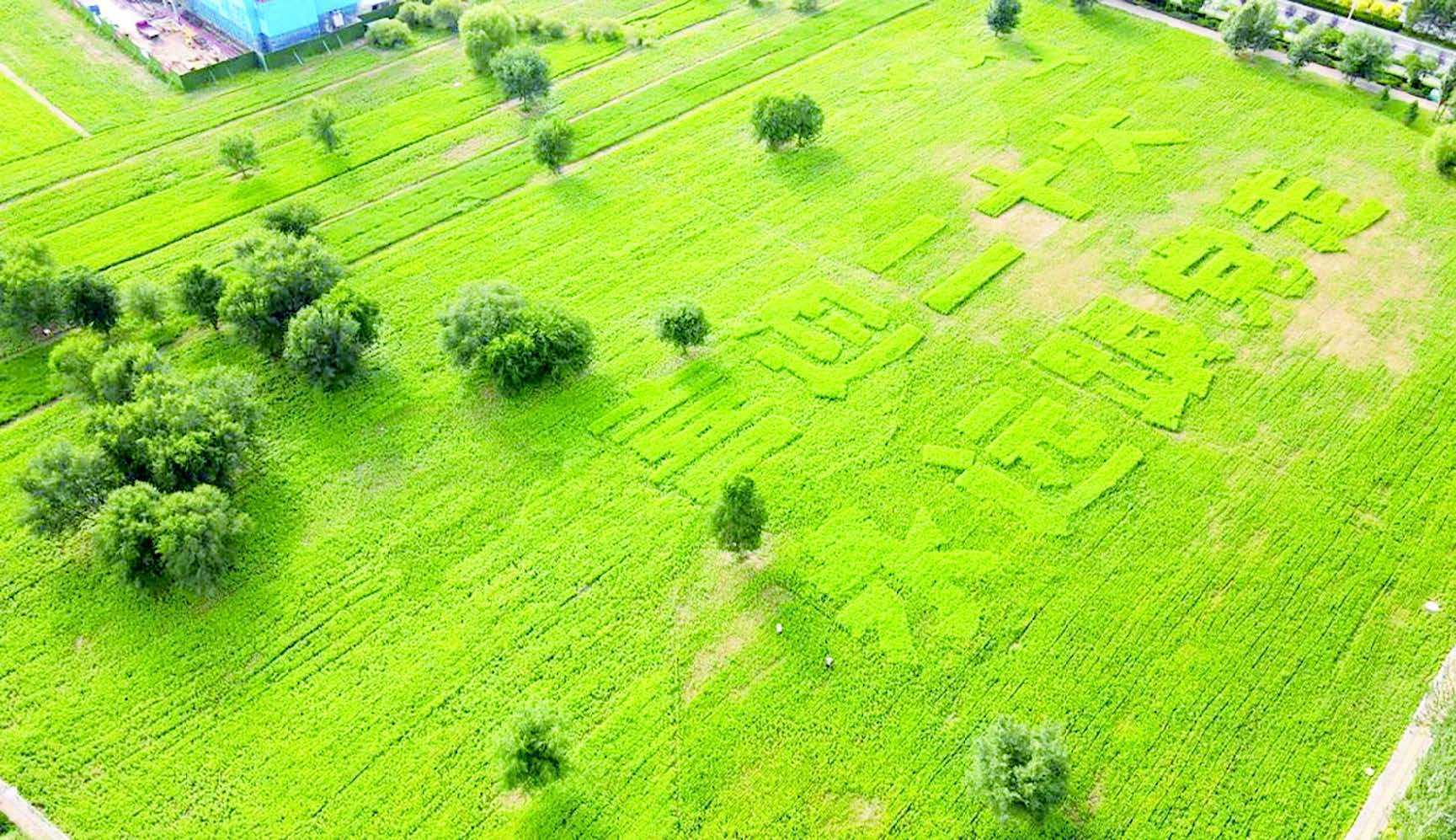 园林|满载“诗意”的4A景区城市，风景美如画适合旅居，干净媲美瑞士