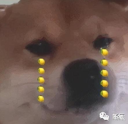 黄瓜 亿万富翁的孩子们都是怎么花钱的？