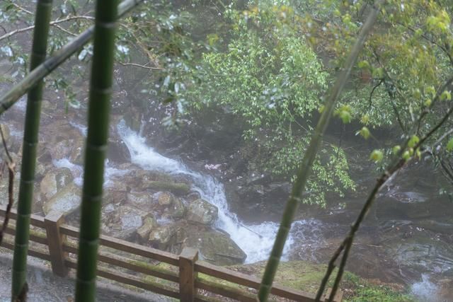 西双版纳|不负春光，快来江西这个仙境地，遇见超美花海