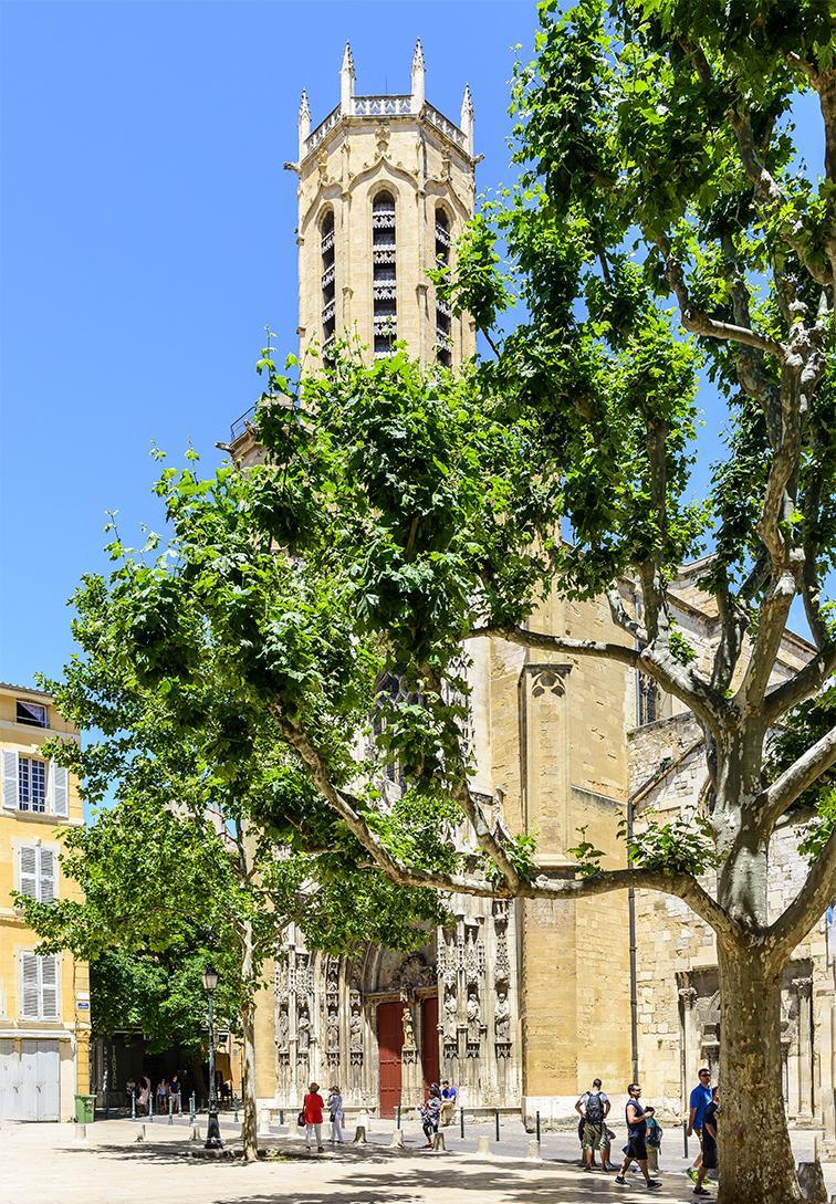 沙滩|法国游记(5)艾克斯·普罗旺斯-\紫色的葡萄是薰衣草的颜色\