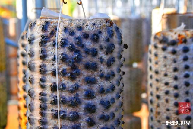 宝贝|我在甘肃旅行,发现一座宝藏小镇,里面藏着许多“宝贝”