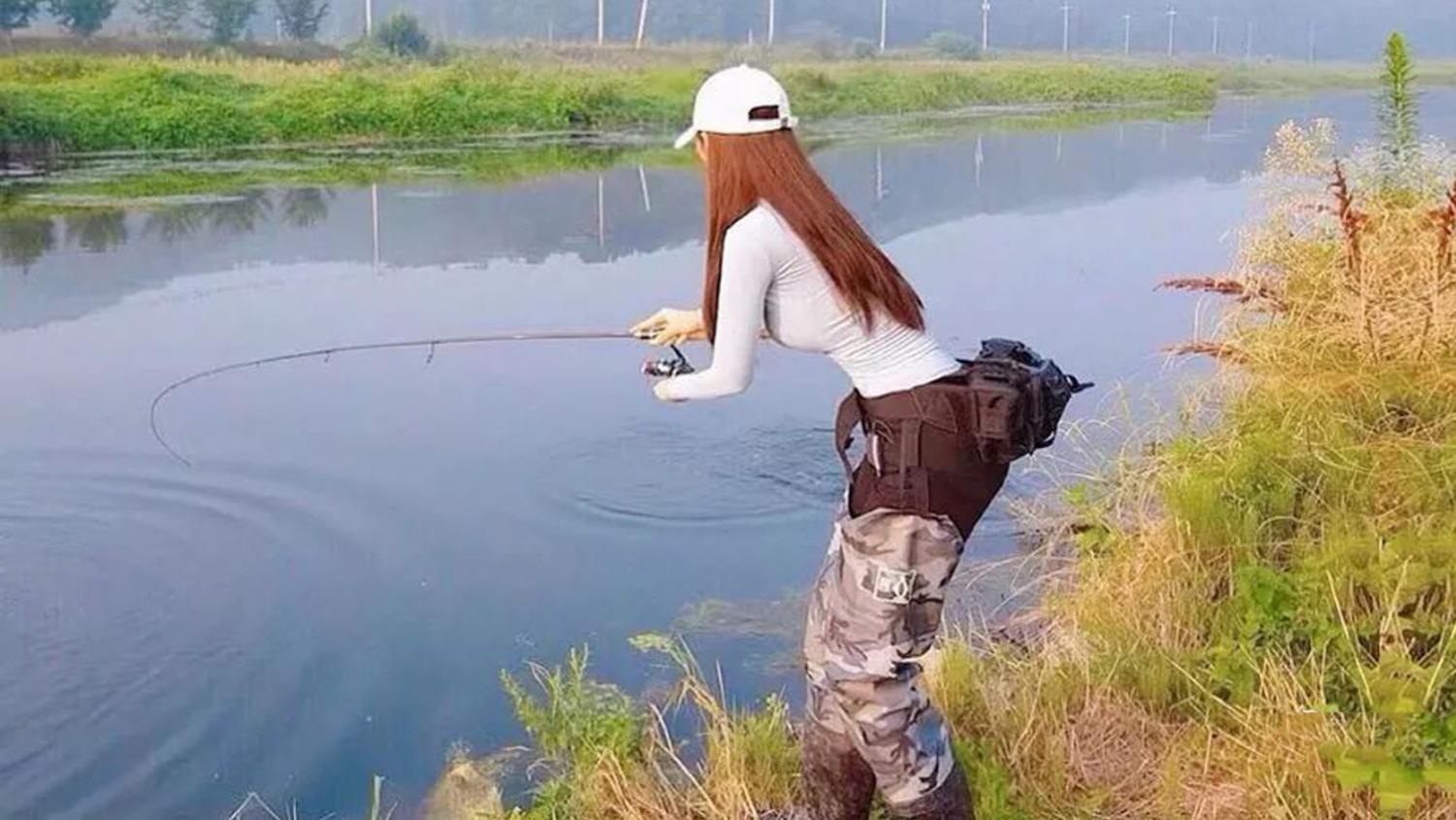 鲤鱼|什么是钓鱼媛？钓鱼媛的目的是什么？钓鱼媛现象解析