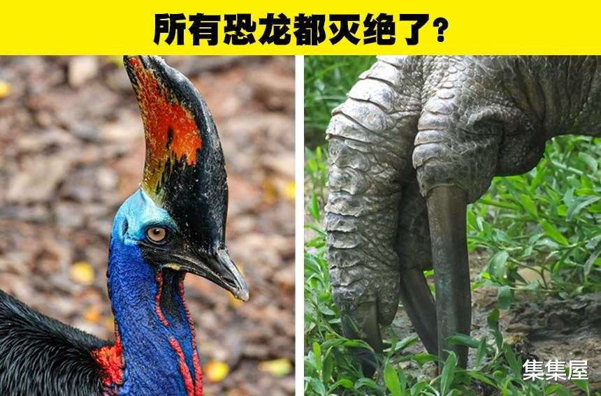 在电影中,对恐龙的描述方式存在的8个错误