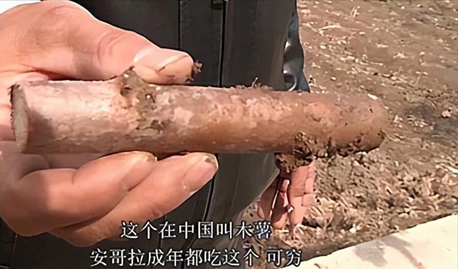 21岁非洲姑娘嫁大29岁河南农民,和儿子一起上幼儿园,如今怎么样
