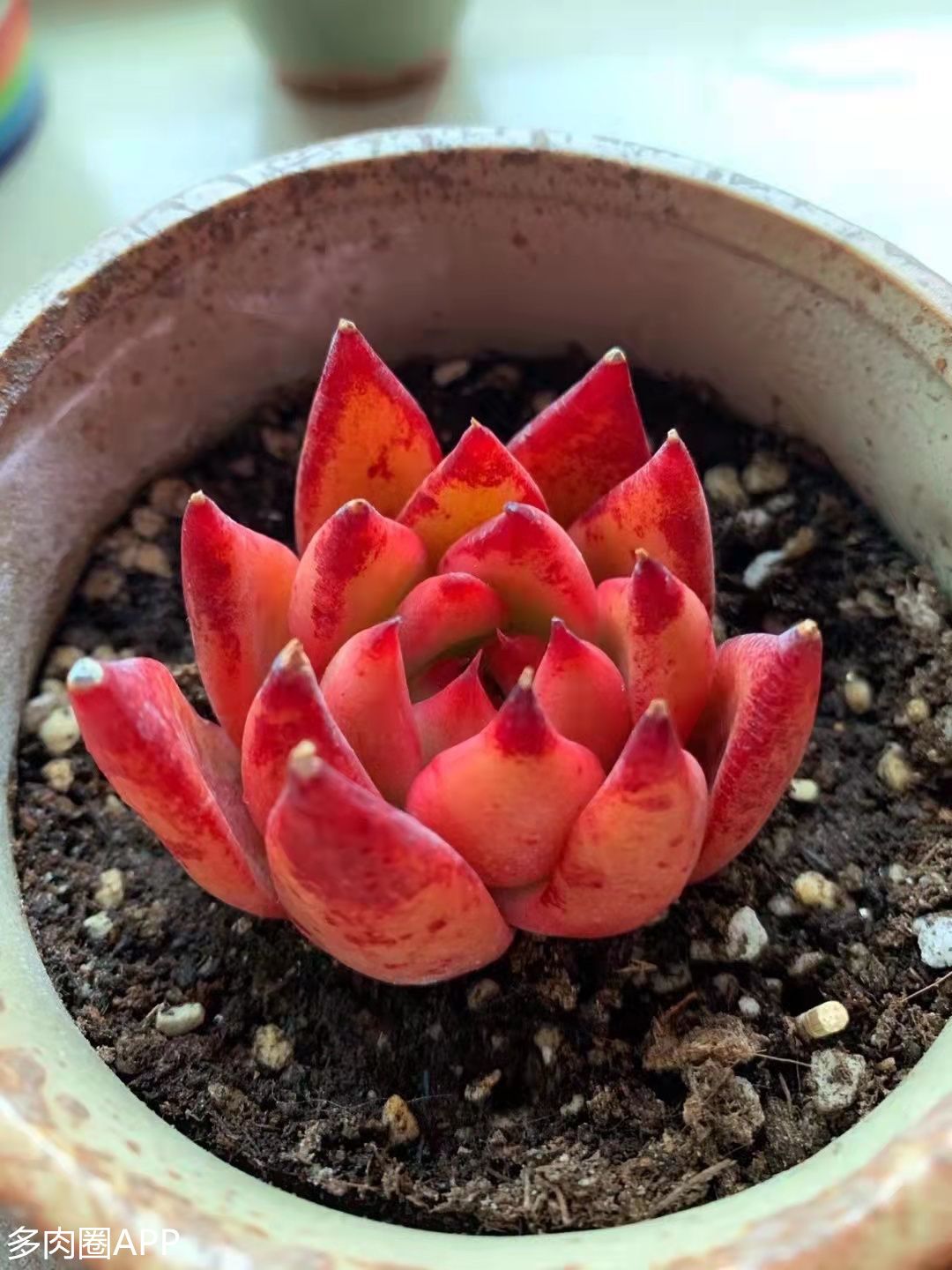 如何让你肉肉拍出美感,跟着我这样做~有着大片即视感~