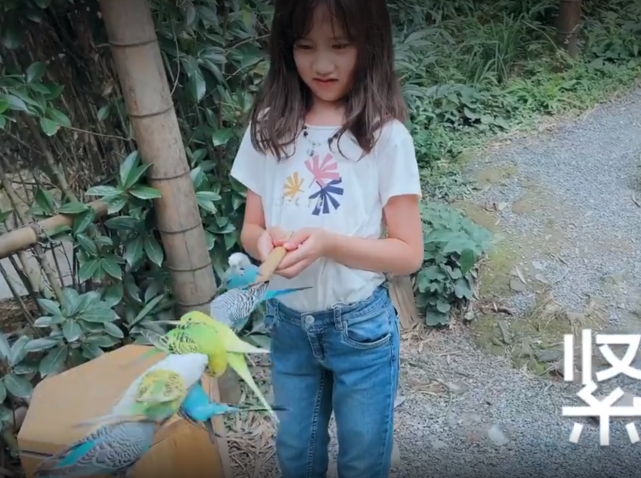 孙莉|孙莉带子女游动物园,被俩娃依偎直呼幸福,弟弟给动物喂食比多妹勇敢