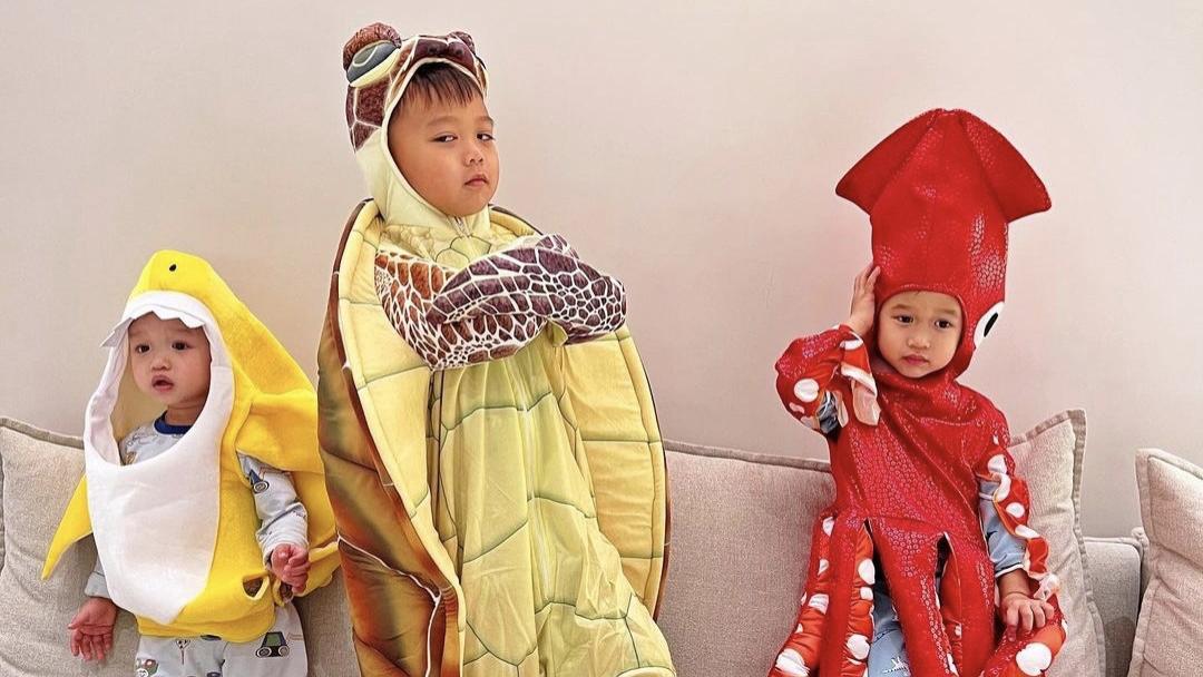 胡杏儿|胡杏儿儿子们过万圣节，三兄弟造型可爱，老大表情丰富萌态百出