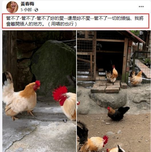 大S|大S小S王力宏同框旧照曝光,大S颜值不如妹妹,王力宏状态获夸赞