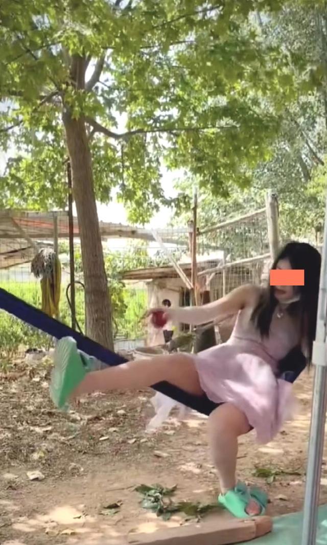 黑丝 女子为展示身材苗条，故意在相亲对象面前展示，结果从网床上摔下