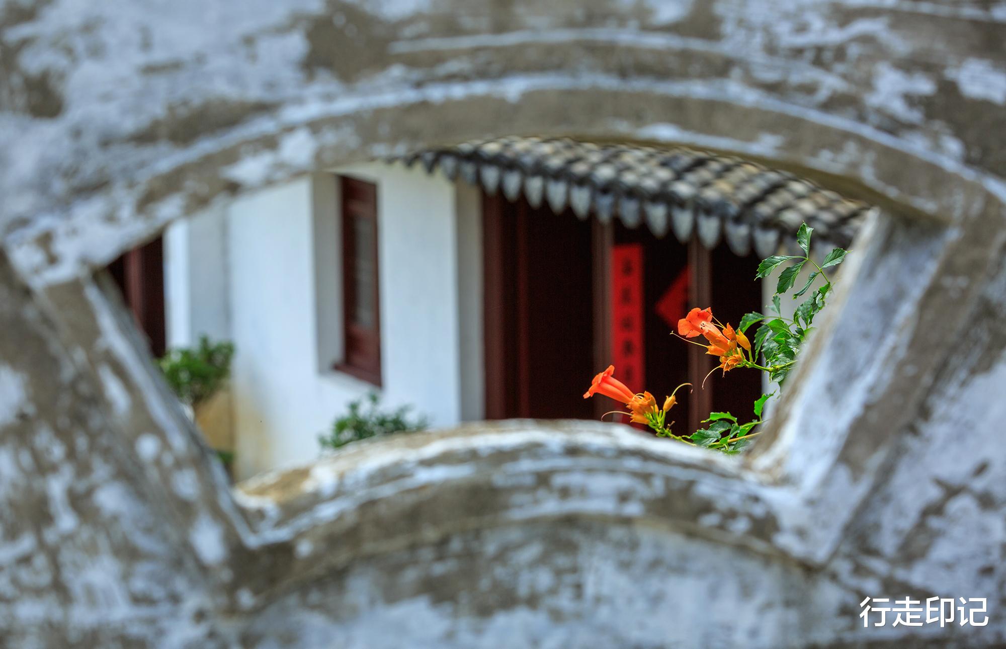 |太平老街的这片花海,足以承包你的夏天