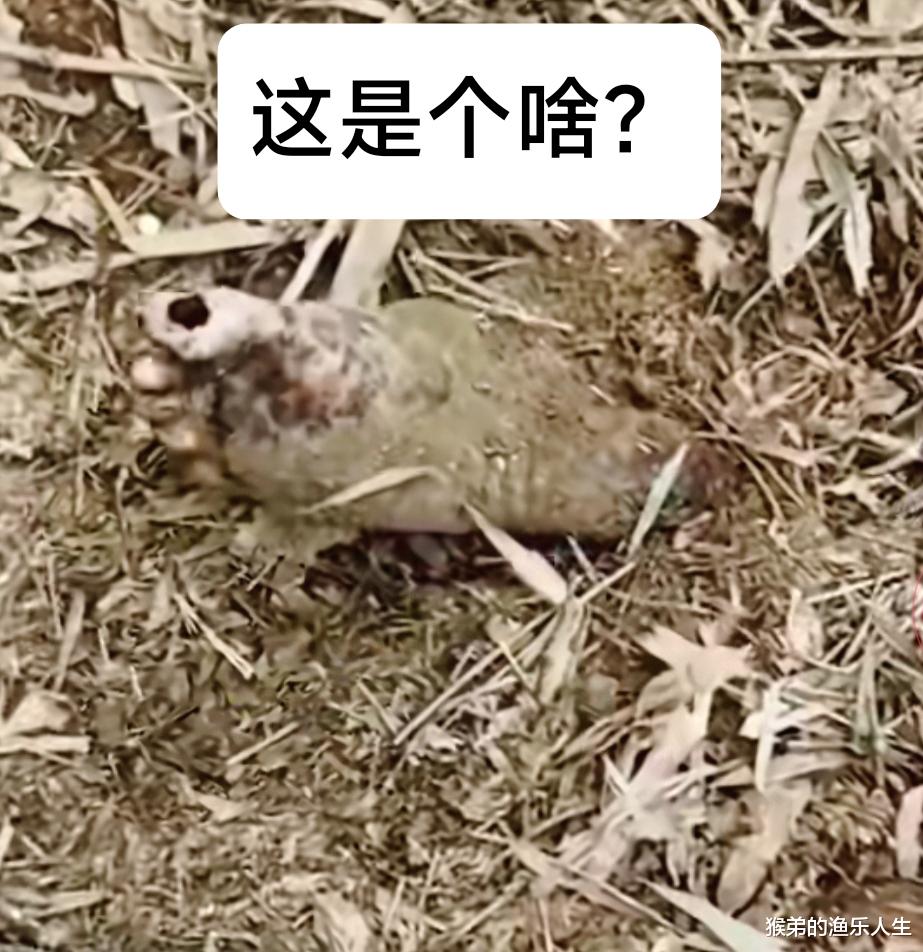 广东省|钓个鱼差点被吓晕，广东钓友发现土里有半截脚掌！走近一看气笑了