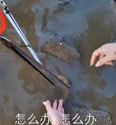 海南一女子信誓旦旦赶海,结果被螃蟹上一课,哭喊声让人笑哭了