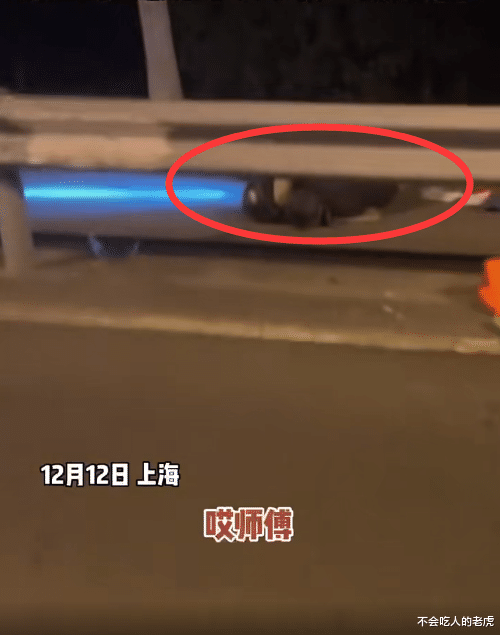 上海 :男子帮骑车摔倒大爷报警,隔着护栏十米大爷索要赔偿,男子汽车也被扣押