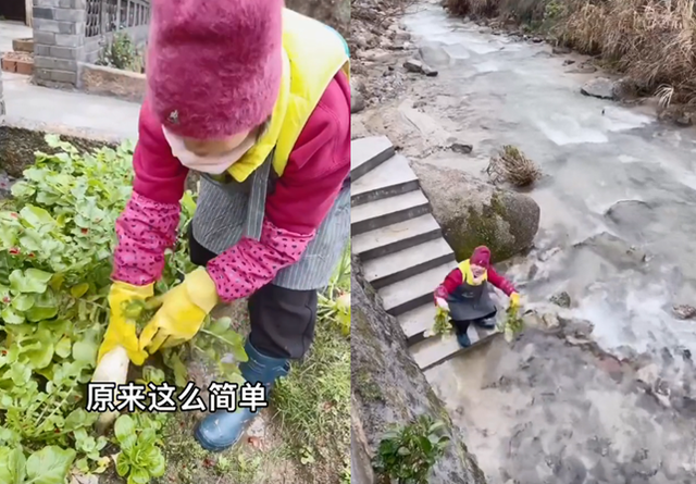 |建宁公主刘乔方菜地拔萝卜！穿雨靴戴袖套好喜感，河边洗菜太豪迈
