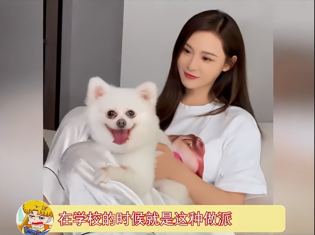 周冬雨|汪小菲被耍的团团转？张颖颖被曝“学历造假”，本人高调作出回应