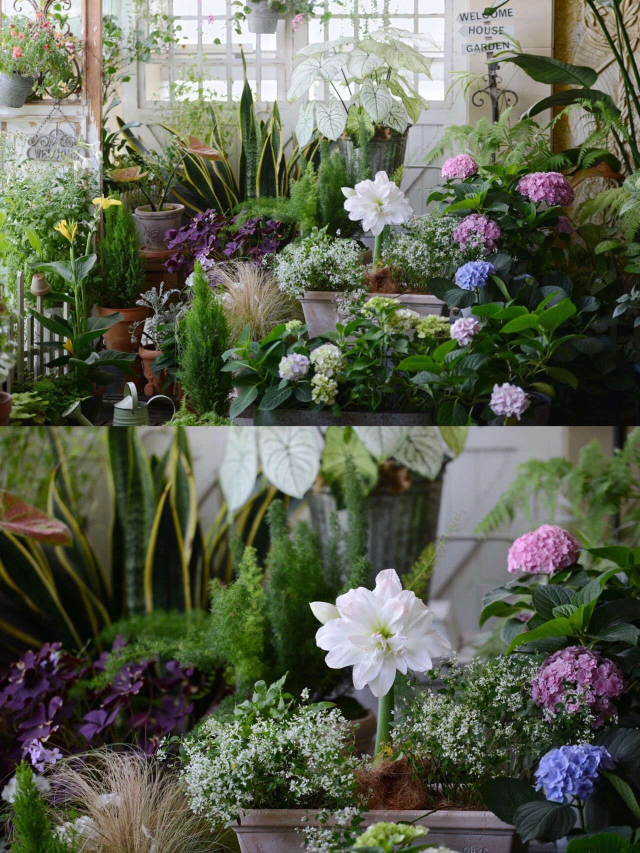 没有大院子,14㎡方寸阳台也能打造“四季小花园”,被美到了