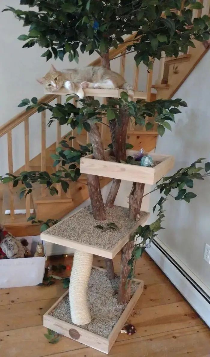 夫妻俩打造超逼真猫树，就为让主子在家体验爬树的感觉！