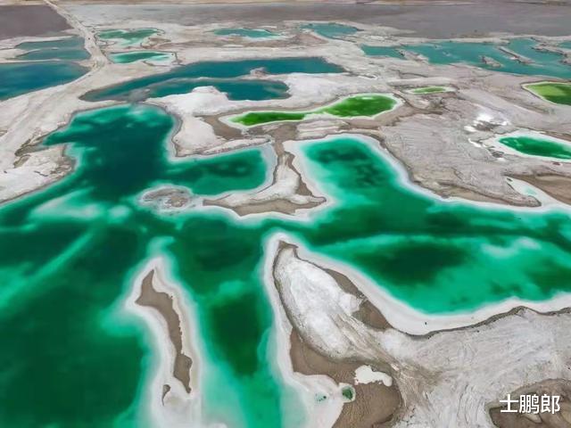 28年仅出现过3次!神秘消失的青海湖“水怪”,是何生物仍是个谜