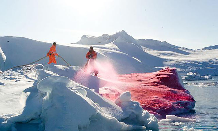 极地下西瓜雪，这是一种启示？还是一种生物现象？