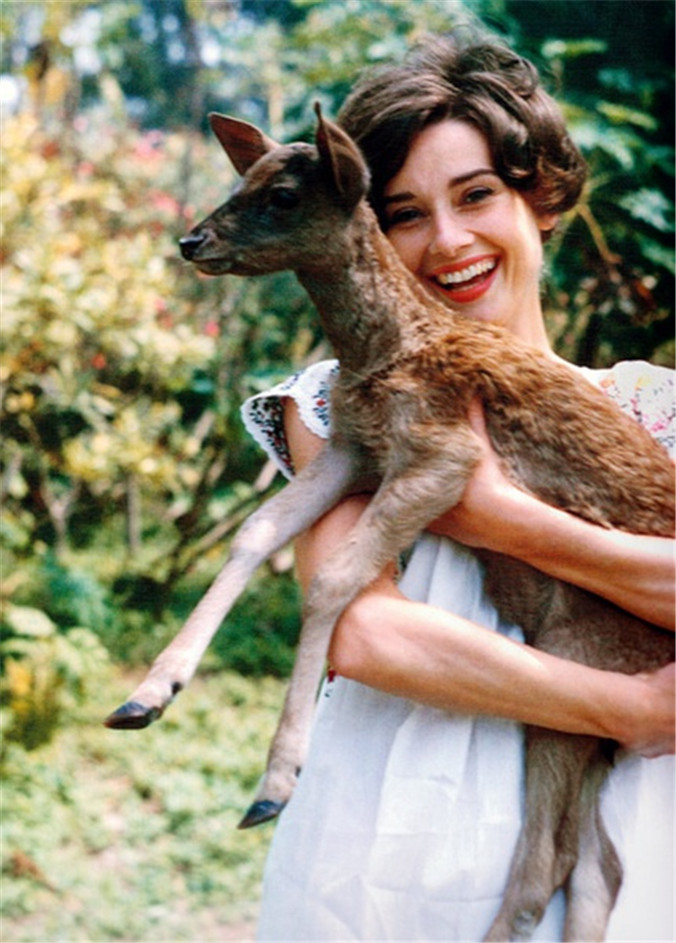 奥黛丽·赫本|《罗马假日》:最真挚的友谊,或许才是世间最长久的深情