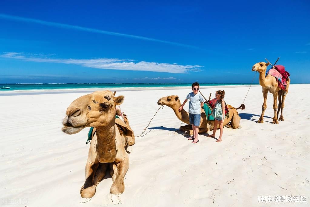 |职场中，你可以充分相信这三种性格的人