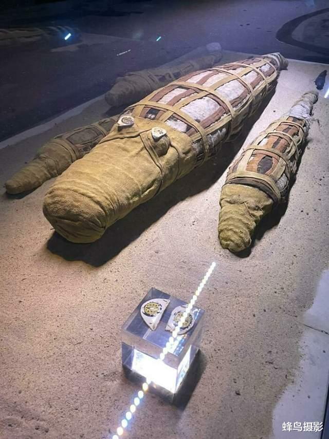 30张活久未见的照片,完整的人类神经系统,全世界只有4个