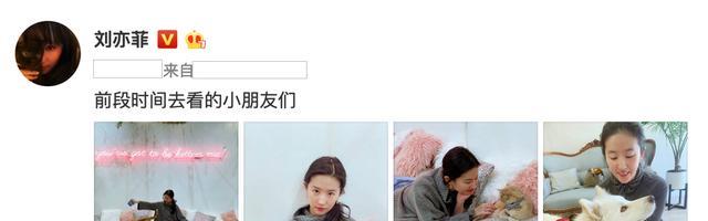 刘亦菲|刘亦菲首次发布大理日常Vlog，小猫小狗成主角，跟她抢食