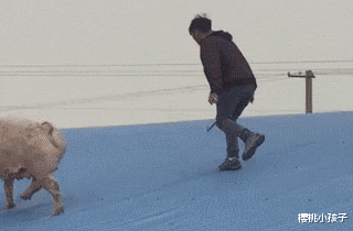 德云社|德云社取消六队演出,演员们将何去何从?