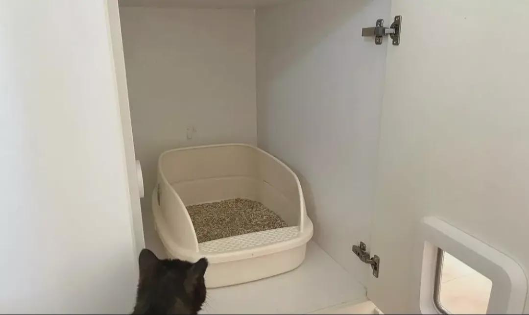 110㎡装出豪宅范~中西厨兼顾 还有衣帽间、书房、洗衣房……