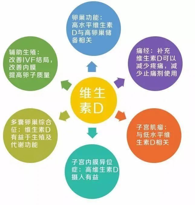 维生素D|补充维生素D，关爱卵巢更关爱自己