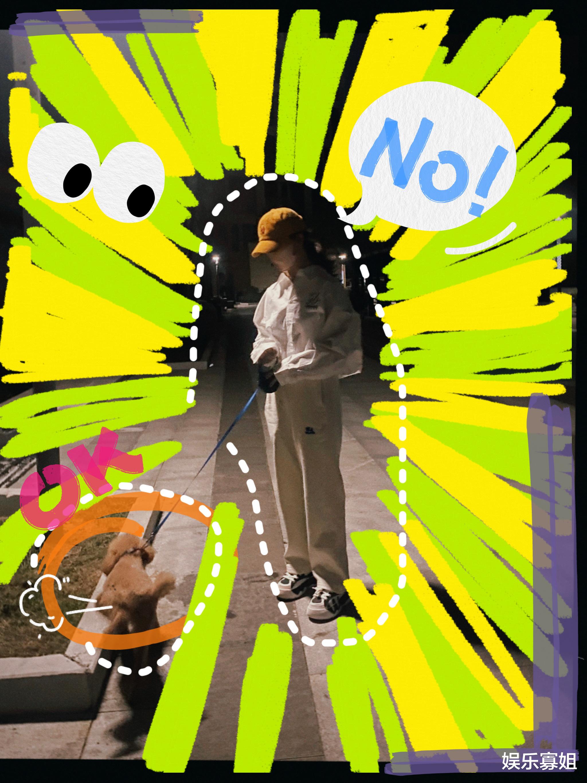 杨紫|工作室晒杨紫日常遛狗随拍，涂鸦风好活力，想看遛piupiu的vlog